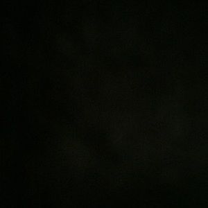 Meet your Posher, Corina